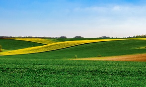 Cibo e alimentazione